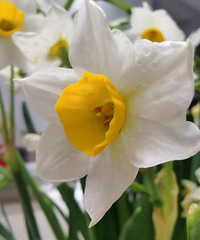 ���������ҵ������������������