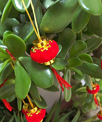 ���˴����й��ᣬ���Ƕ���������ף��