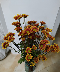 ������װ�硿+�ʻ��ٲ���