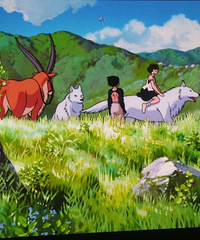 �����ѡͶӰ�ǡ���ôѡͶӰ�ǲ��ȿӣ����������С���ο�