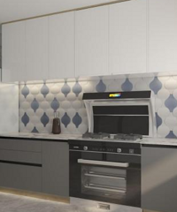 ����װ�޸ò����ü������������ȱ�㶼����Щ��