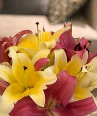 �Ҽҳ���������÷��Ź�