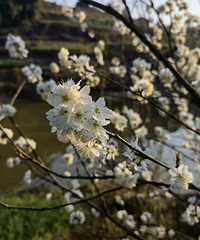 �Ƶ�Ĵ��ͼ���Ĵ�˯һ��Ϊɶ�����ô��