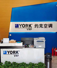 Լ��VRF�յ�չʾ����315����뺯