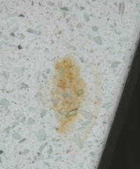 ����ټٵ�ʯӢʯ̨�棬���ֱ���ѧ����Щѡ����̨�治�ó