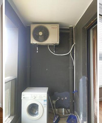 �ҵ�ѡ��С���ţ���Щ�����֪��