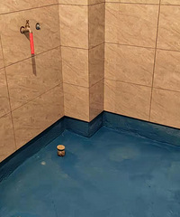 ʮˮשĿǰ֧Լ87200Ԫ