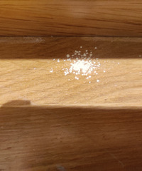 ľ¥������Ҫ��Ҫ�����������������֧֧�У�