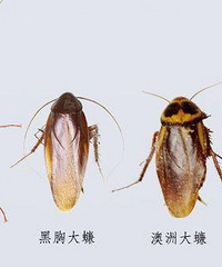 ���������İ취��������ô����룿