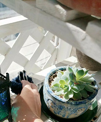 ���ձ����������������й����裬��������Ҳ������10�겻�ң�