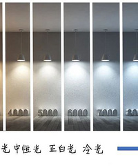 ������Щ�����ѡ�Ʋ�����������