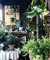 �����¼������������������ֲ��Ҳ�׷�����