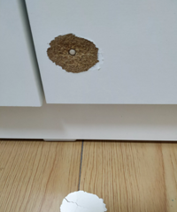 �¹�������զ����