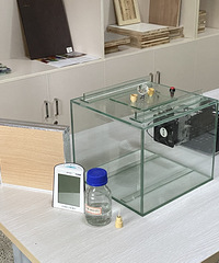 10����Ũ���½�16�������ְ�����Լ�����ȩ