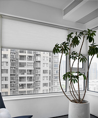 89ƽ��ͨ���ռ䣬����ʽ�ɹ�ռ�������