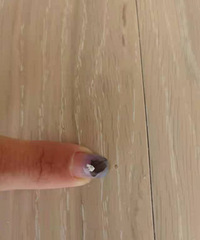 ·��װ�γ� ʥ �� �� �� û��ס�ͱ������̼Ҳ�����,�����Ǿ���