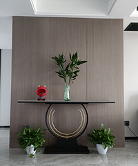 [װ���ռ�]װ����ᣬ�Ҿ�ֱ�ӷɹ������