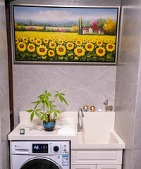 ������������Ͷ�ʿ;�װ���ַ������򵥸Ľ�