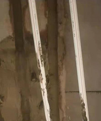 ޱԢ88ִ ˺ӺӾװг|յ|