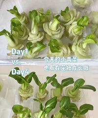 ӵ��һ��6�O����̨�����������Ļ���԰