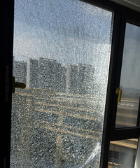 41�ȸ������ҼҲ������ˣ������������⣿