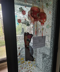 ˯����ͻȻ���ѣ��ҼҲ������Ա���