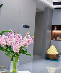 [���]���԰+115�O+����ִ���������֤38W+