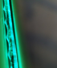 ����Ǳ�ȫ���ϵ������²��ˣ���ɫ�����ˣ�����û��ȫ�ȵ�