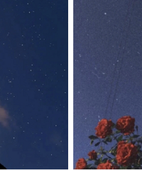 [��������]��ޱ��԰ʵ������������Ķ�λ