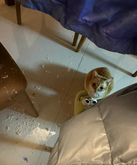 [ʵ�پ������]����6�����޷����Լ����������ޱ�