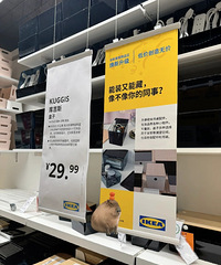 �˼�������İ��ú�Ц���治��35�걻��ҵ�Ĵ�Ա��д����