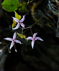 [װ��]�Ĵ�С���ڻķ�լ���أ�����6000�O��԰