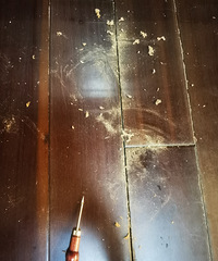 ɶ��˼���Ҳ������ѵ�����ľ�ذ嶼�᳤����