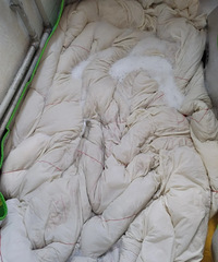 �����ӣ�������ʶ�أ���ô����ϴ�˽��ޱ�