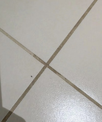 ������ɰ�õ�ʱ����ˣ����ᷢ����ɫ��