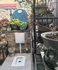 ���ڶ�¥����Խ��Խ���ˣ�¶��������Ҳ�Ǽ�ʶ����