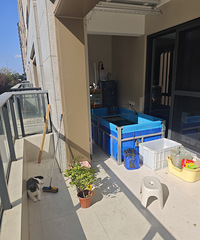 ����ʽ��̨¶̨��԰֮·