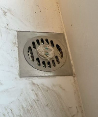 ���Ҫ�����ˣ�����Ұ����������ѣ�ש��ƽ˵���ϾͿ���������