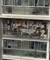 ���ⲻ�˵��ھӣ����������������˶�ò�ϴŶ