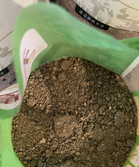 ������������ɳ�ӣ���������ש