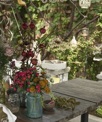 �����Ķ���14�ꡰũ��Ժ�����أ�������Ʒ��������Ҷ