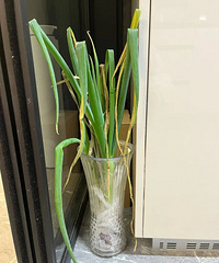 ���ѷ�˼�����ֺܶණ��ѹ���Ͳ�����