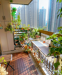 �����̨��ֻ�������·���90�������̫������