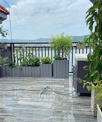 ��̥�����������״�ع�