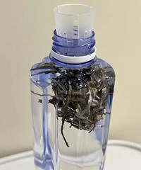 �����ѵġ��ļ�ʡǮ�������������