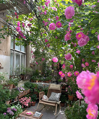 ��Ϊ�����ˣ�����һ¥����С����סһ���ĬĬת����