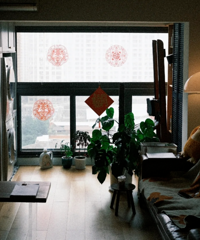 �ܿ��� 5 �� �����˷��� ���ͣ�������ס��������˭ѡ˭���