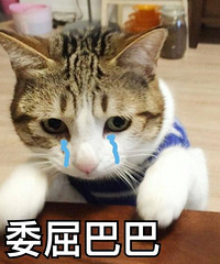 ׼����ʼ����װ�������ˣ�����ЩҪ���׵����Ҹ�֪����ָ�л��