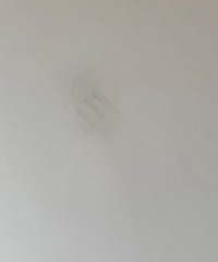 �齺��������ô��������ʪ������һ���Ѿ����ƹ����