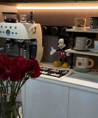SMEG�ĵ������ò�����ֵ̫���ˣ����Ķ�